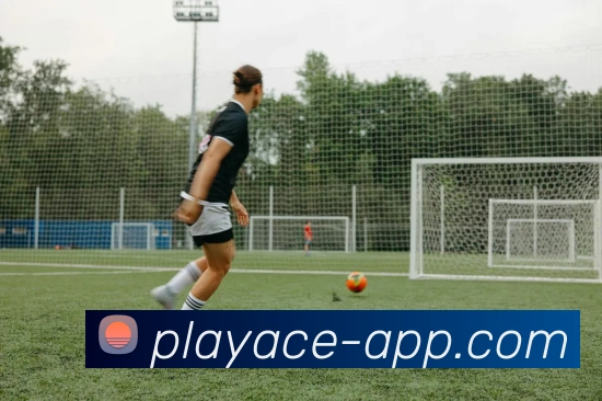 PA电子官网发展历程