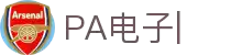 PA电子_PA电子官方网站_PLAYACE